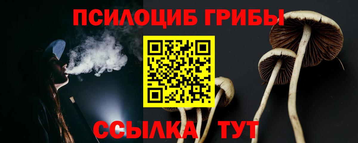 Великий Новгород  Псилоцибиновые грибы Psilocybe  Вход с VPN 